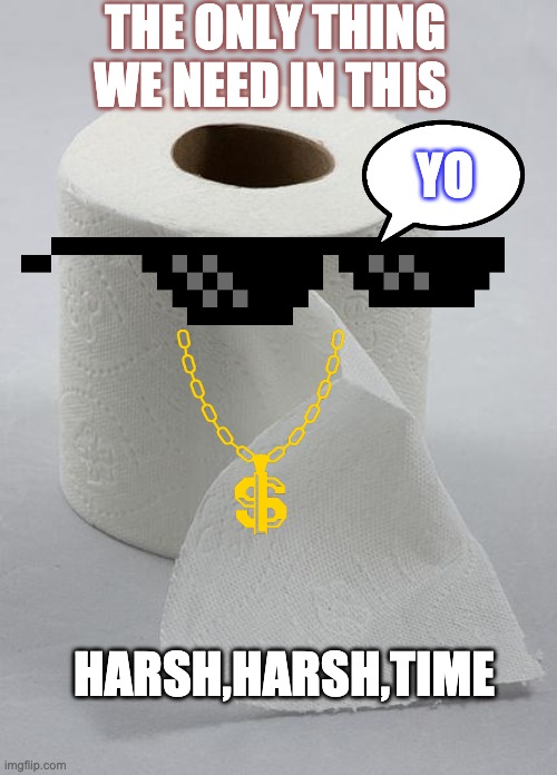 cool toilet paper | THE ONLY THING WE NEED IN THIS; YO; HARSH,HARSH,TIME | image tagged in toilet paper | made w/ Imgflip meme maker