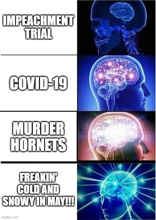 2020 Sucks | IMPEACHMENT TRIAL; COVID-19; MURDER HORNETS; FREAKIN' COLD AND SNOWY IN MAY!!! | image tagged in memes,expanding brain | made w/ Imgflip meme maker