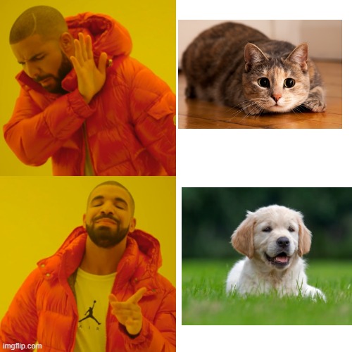 My opinions | image tagged in memes,drake hotline bling | made w/ Imgflip meme maker