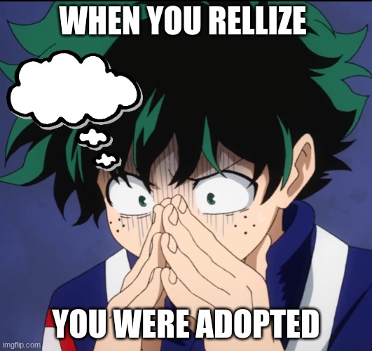 Suffering Deku | WHEN YOU RELLIZE; YOU WERE ADOPTED | image tagged in suffering deku | made w/ Imgflip meme maker