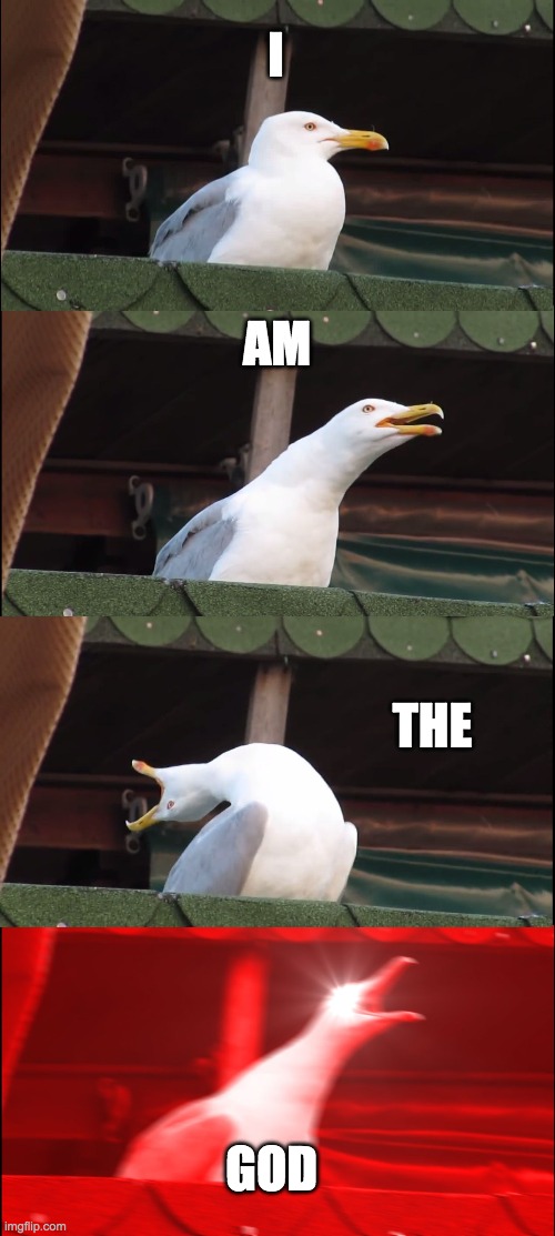 Inhaling Seagull | I; AM; THE; GOD | image tagged in memes,inhaling seagull | made w/ Imgflip meme maker