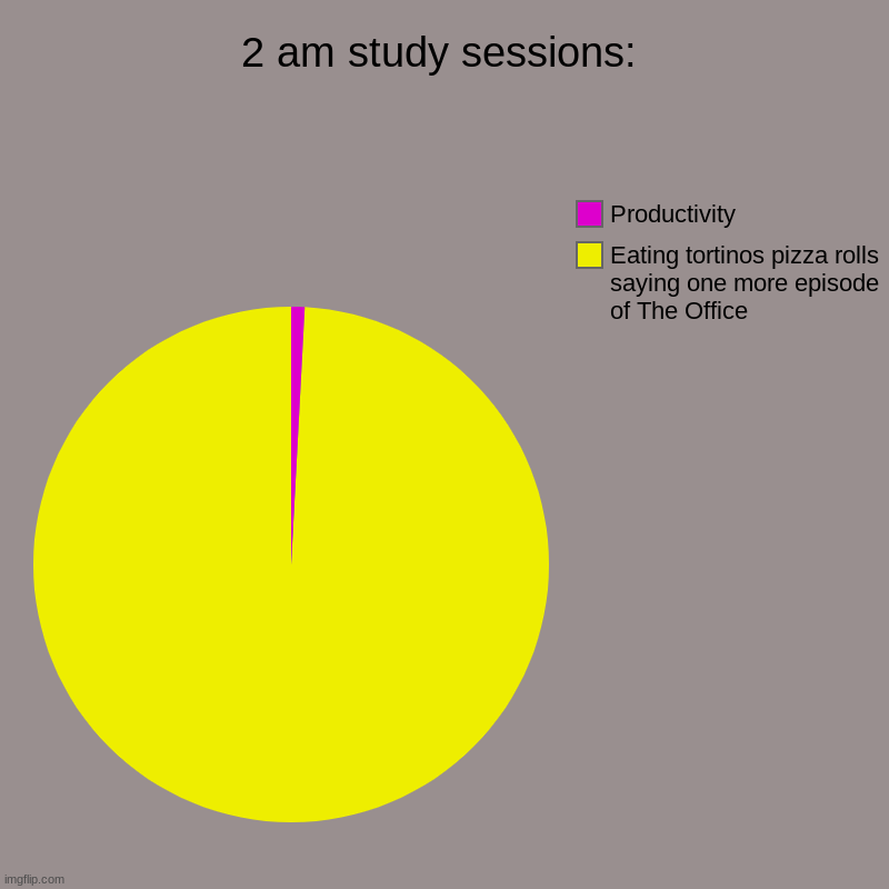 My 2 am Productivity | 2 am study sessions: | Eating tortinos pizza rolls saying one more episode of The Office, Productivity | image tagged in charts,pie charts | made w/ Imgflip chart maker