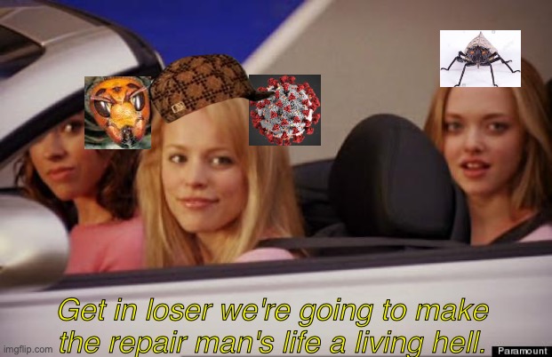 Get In Loser | Get in loser we're going to make the repair man's life a living hell. | image tagged in get in loser | made w/ Imgflip meme maker