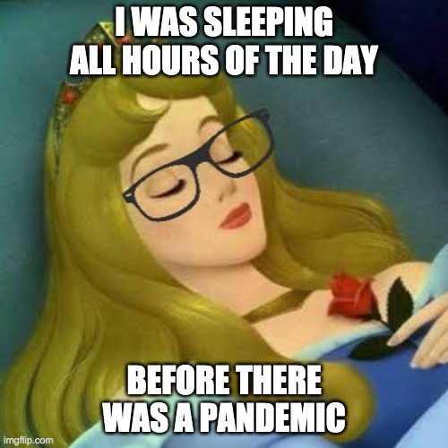 Pandemic Hipster Sleeping Beauty | I WAS SLEEPING ALL HOURS OF THE DAY; BEFORE THERE WAS A PANDEMIC | image tagged in hipster sleeping beauty | made w/ Imgflip meme maker