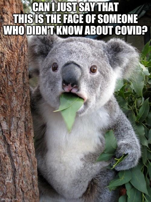 Surprised Koala Meme | CAN I JUST SAY THAT THIS IS THE FACE OF SOMEONE WHO DIDN'T KNOW ABOUT COVID? | image tagged in memes,surprised koala | made w/ Imgflip meme maker