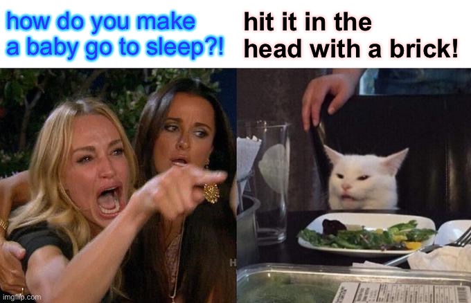 Woman Yelling At Cat Meme | how do you make a baby go to sleep?! hit it in the head with a brick! | image tagged in memes,woman yelling at cat | made w/ Imgflip meme maker