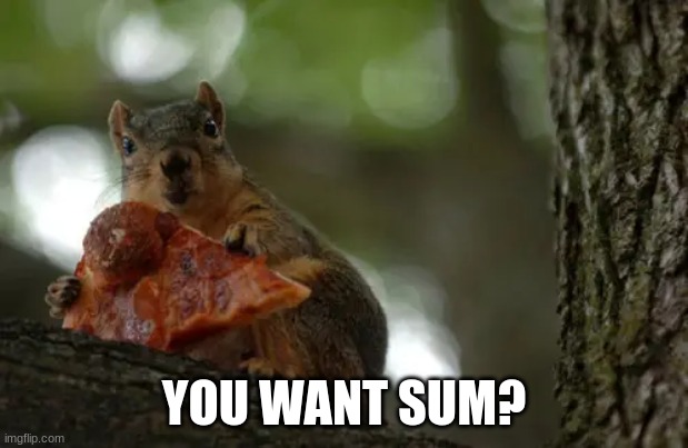 YOU WANT SUM? | image tagged in squirrel | made w/ Imgflip meme maker
