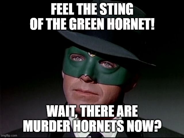 Green murder hornets | FEEL THE STING OF THE GREEN HORNET! WAIT, THERE ARE MURDER HORNETS NOW? | image tagged in green hornet | made w/ Imgflip meme maker