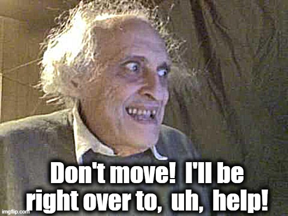 Old Pervert | Don't move!  I'll be right over to,  uh,  help! | image tagged in old pervert | made w/ Imgflip meme maker