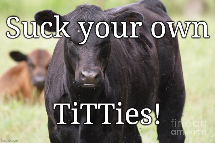 Angry Cow | Suck your own; TiTTies! | image tagged in angry cow,cow | made w/ Imgflip meme maker