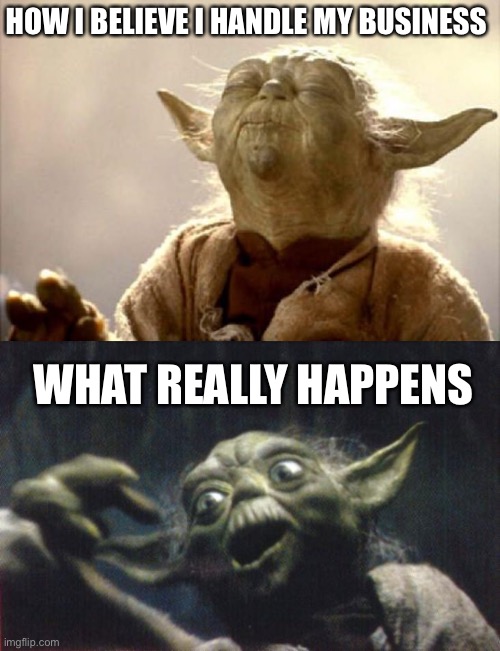 Reality | HOW I BELIEVE I HANDLE MY BUSINESS; WHAT REALLY HAPPENS | image tagged in smelling yoda,funny,stressed out | made w/ Imgflip meme maker
