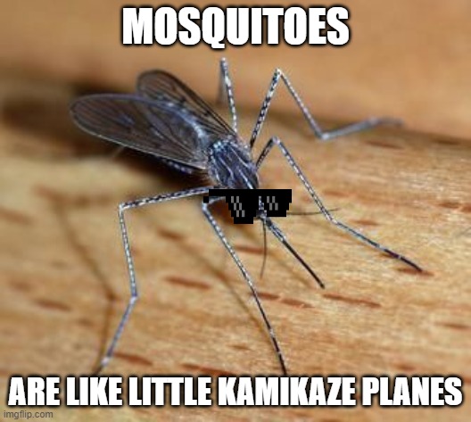 MOSQUITOES; ARE LIKE LITTLE KAMIKAZE PLANES | image tagged in fun | made w/ Imgflip meme maker