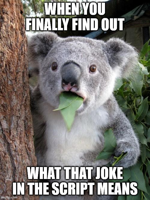 Surprised Koala | WHEN YOU FINALLY FIND OUT; WHAT THAT JOKE IN THE SCRIPT MEANS | image tagged in memes,surprised koala | made w/ Imgflip meme maker