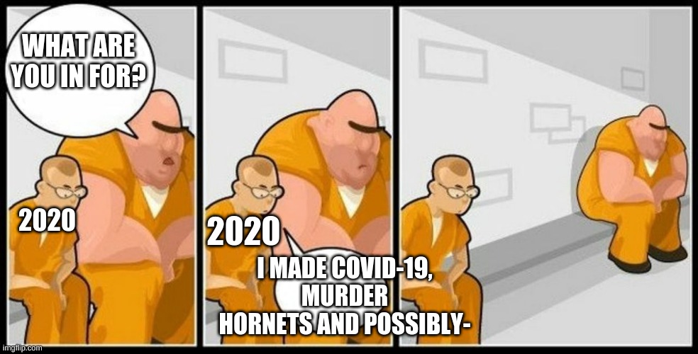 Really, whats the next thing 2020 has in store for us? | WHAT ARE YOU IN FOR? 2020; 2020; I MADE COVID-19, MURDER HORNETS AND POSSIBLY- | image tagged in what are you in for | made w/ Imgflip meme maker