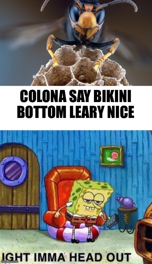 Sponge Bob’s Last Straw | COLONA SAY BIKINI BOTTOM LEARY NICE | image tagged in asian hornet,murder hornet,bikini bottom,sponge bob | made w/ Imgflip meme maker