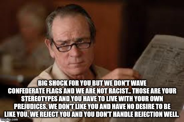no country for old men tommy lee jones | BIG SHOCK FOR YOU BUT WE DON'T WAVE CONFEDERATE FLAGS AND WE ARE NOT RACIST.. THOSE ARE YOUR STEREOTYPES AND YOU HAVE TO LIVE WITH YOUR OWN  | image tagged in no country for old men tommy lee jones | made w/ Imgflip meme maker