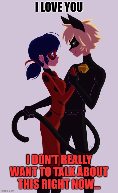 LadyBug And Cat Noir | I LOVE YOU; I DON'T REALLY WANT TO TALK ABOUT THIS RIGHT NOW... | image tagged in ladybug and cat noir | made w/ Imgflip meme maker