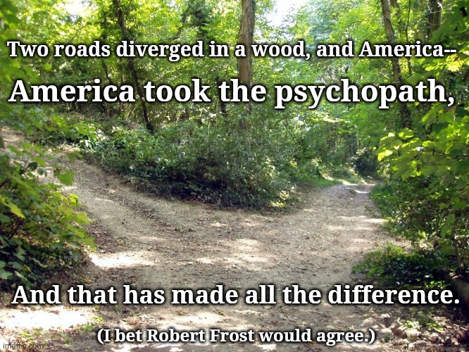 Robert Frost would agree | Two roads diverged in a wood, and America--; America took the psychopath, And that has made all the difference. (I bet Robert Frost would agree.) | image tagged in two roads | made w/ Imgflip meme maker