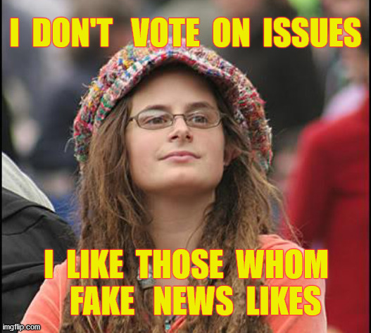 Way too many people vote because the media makes a candidate likable or hates their opponents | I  DON'T   VOTE  ON  ISSUES; I  LIKE  THOSE  WHOM    FAKE   NEWS  LIKES | image tagged in voters,politics,fake news,ignorance,democrats,news | made w/ Imgflip meme maker