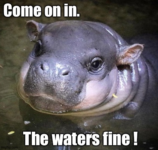 Come on in. The waters fine ! | made w/ Imgflip meme maker