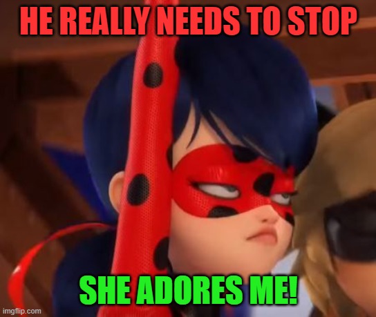 Grumpy Miraculous | HE REALLY NEEDS TO STOP; SHE ADORES ME! | image tagged in grumpy miraculous | made w/ Imgflip meme maker