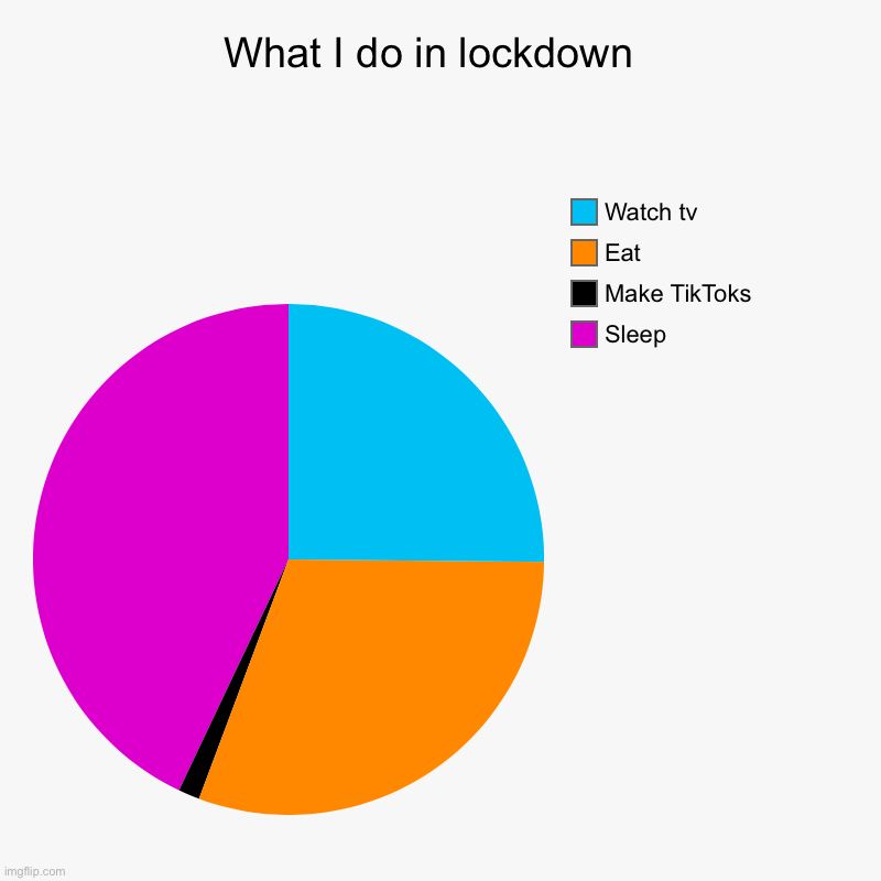 What I do in lockdown  | Sleep, Make TikToks, Eat, Watch tv | image tagged in charts,pie charts | made w/ Imgflip chart maker