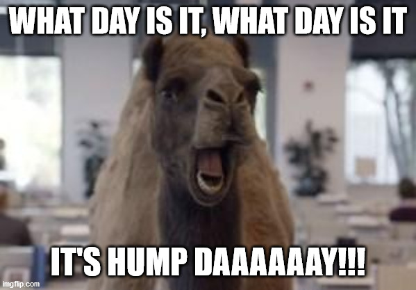 Hump Day Camel | WHAT DAY IS IT, WHAT DAY IS IT; IT'S HUMP DAAAAAAY!!! | image tagged in hump day camel,wednesday | made w/ Imgflip meme maker