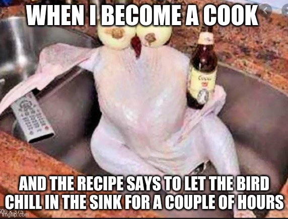 Chicken chilling in sink |  WHEN I BECOME A COOK; AND THE RECIPE SAYS TO LET THE BIRD CHILL IN THE SINK FOR A COUPLE OF HOURS | image tagged in chicken | made w/ Imgflip meme maker