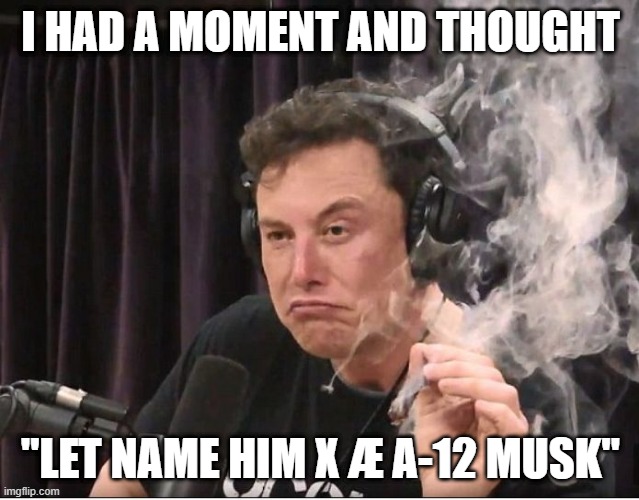 What IS in a Name? | I HAD A MOMENT AND THOUGHT; "LET NAME HIM X Æ A-12 MUSK" | image tagged in elon musk smoking a joint | made w/ Imgflip meme maker