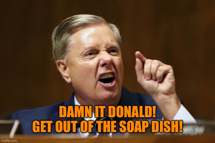 DAMN IT DONALD! GET OUT OF THE SOAP DISH! | made w/ Imgflip meme maker