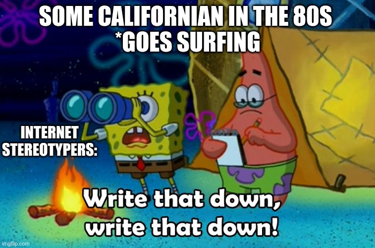 write that down | SOME CALIFORNIAN IN THE 80S 
*GOES SURFING; INTERNET STEREOTYPERS: | image tagged in write that down | made w/ Imgflip meme maker