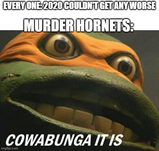 Cowabunga it is | EVERY ONE: 2020 COULDN'T GET ANY WORSE; MURDER HORNETS: | image tagged in cowabunga it is | made w/ Imgflip meme maker