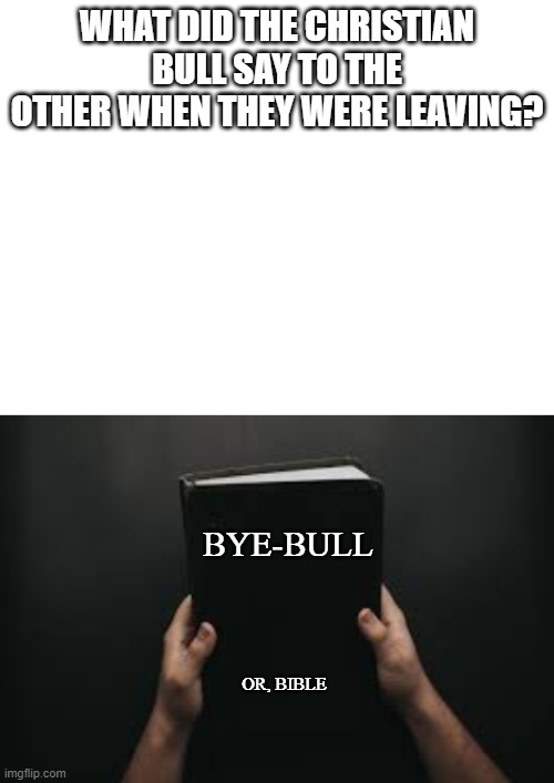 WHAT DID THE CHRISTIAN BULL SAY TO THE OTHER WHEN THEY WERE LEAVING? BYE-BULL; OR, BIBLE | image tagged in blank white template | made w/ Imgflip meme maker