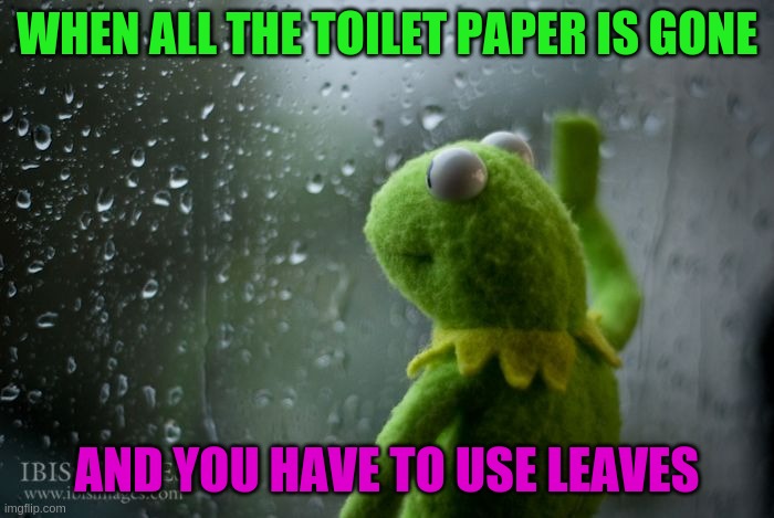 kermit window | WHEN ALL THE TOILET PAPER IS GONE; AND YOU HAVE TO USE LEAVES | image tagged in kermit window | made w/ Imgflip meme maker