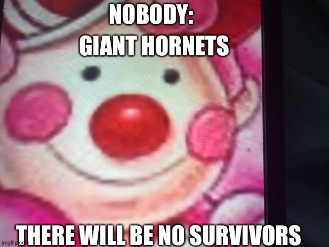 Murder hornets | NOBODY:; GIANT HORNETS; THERE WILL BE NO SURVIVORS | image tagged in murder hornet,candyland,killer | made w/ Imgflip meme maker
