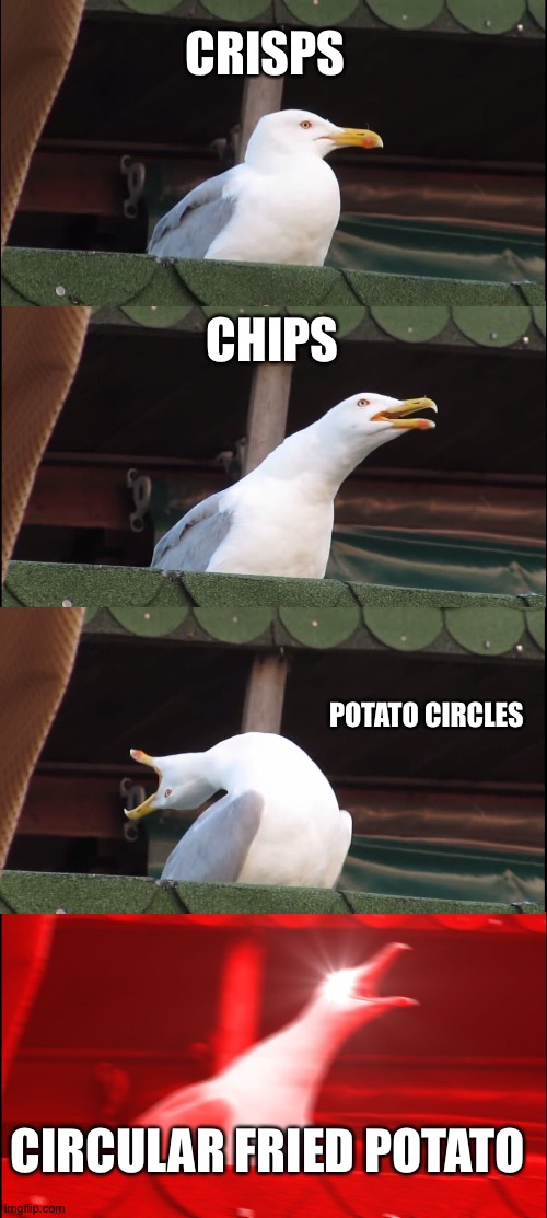 Inhaling Seagull | CRISPS; CHIPS; POTATO CIRCLES; CIRCULAR FRIED POTATO | image tagged in memes,inhaling seagull | made w/ Imgflip meme maker