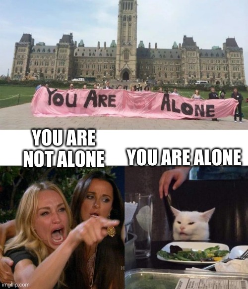pfffft | YOU ARE ALONE; YOU ARE NOT ALONE | image tagged in memes,woman yelling at cat,fail | made w/ Imgflip meme maker