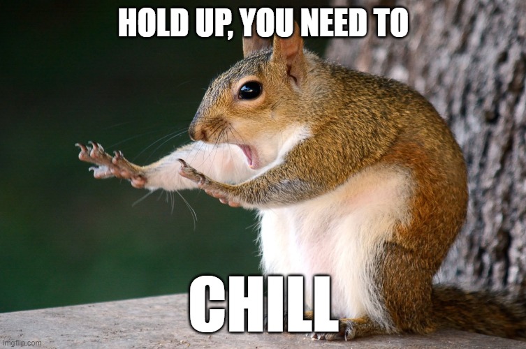 The good ol' chill squirrel | HOLD UP, YOU NEED TO; CHILL | image tagged in whoa now squirrel | made w/ Imgflip meme maker