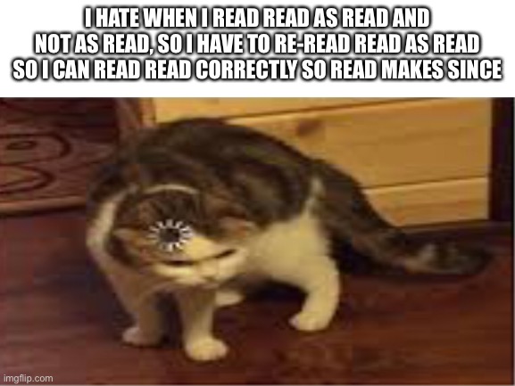 Read This | I HATE WHEN I READ READ AS READ AND NOT AS READ, SO I HAVE TO RE-READ READ AS READ SO I CAN READ READ CORRECTLY SO READ MAKES SINCE | image tagged in loading cat | made w/ Imgflip meme maker