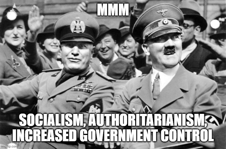 Mussolini and Hitler | MMM SOCIALISM, AUTHORITARIANISM, INCREASED GOVERNMENT CONTROL | image tagged in mussolini and hitler | made w/ Imgflip meme maker