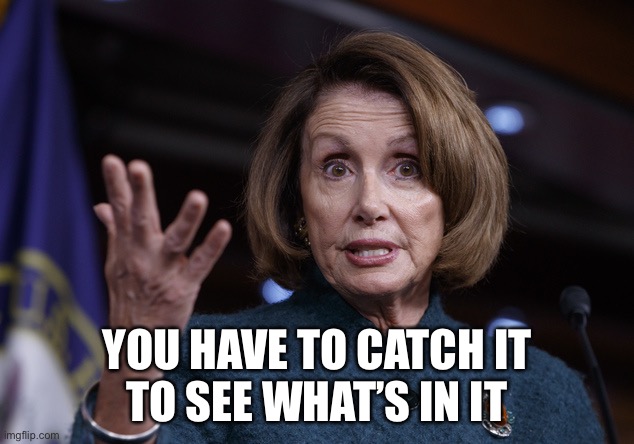 Good old Nancy Pelosi | YOU HAVE TO CATCH IT
TO SEE WHAT’S IN IT | image tagged in good old nancy pelosi | made w/ Imgflip meme maker