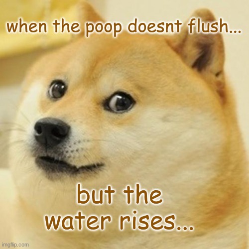 doge | when the poop doesnt flush... but the water rises... | image tagged in memes,doge | made w/ Imgflip meme maker