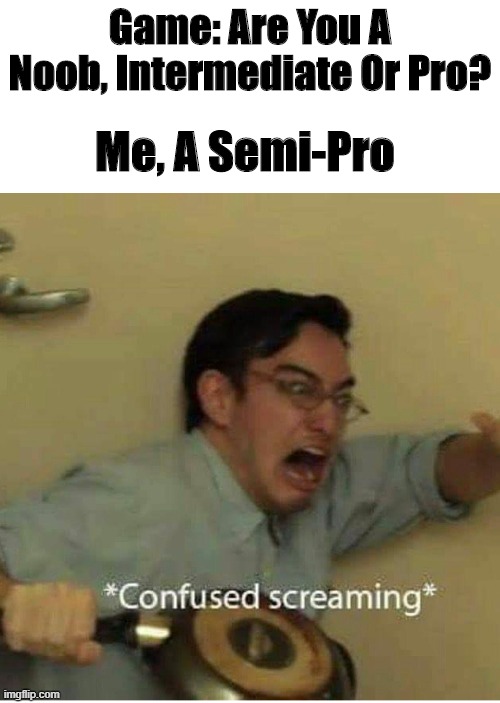 What About Semi-Pro | Me, A Semi-Pro; Game: Are You A Noob, Intermediate Or Pro? | image tagged in confused screaming | made w/ Imgflip meme maker