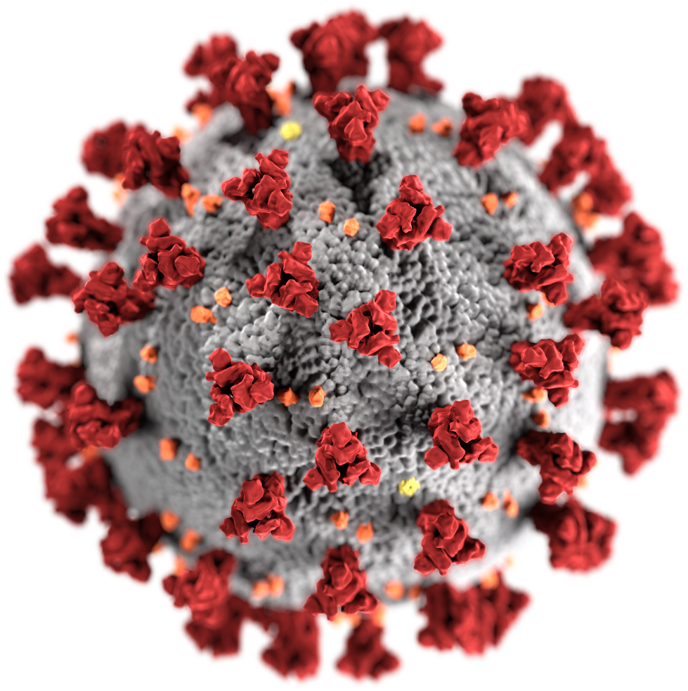 coronavirus Blank Meme Template