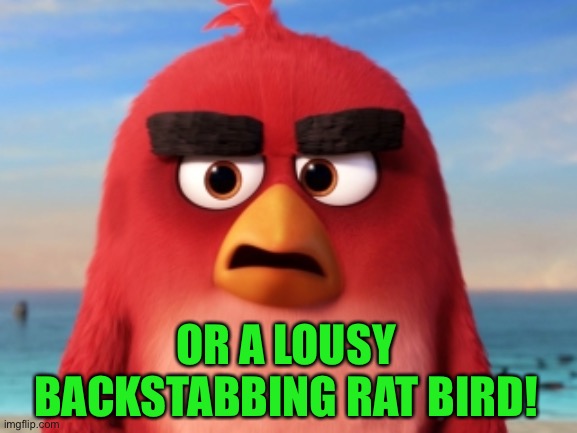 Angry Birds | OR A LOUSY BACKSTABBING RAT BIRD! | image tagged in angry birds | made w/ Imgflip meme maker