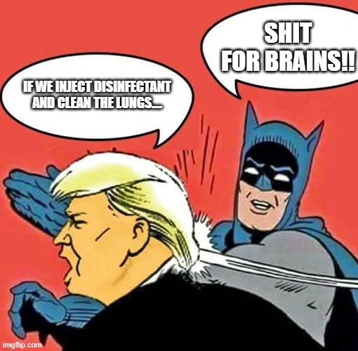 Batman Slapping Trump | SHIT FOR BRAINS!! IF WE INJECT DISINFECTANT AND CLEAN THE LUNGS.... | image tagged in batman slapping trump | made w/ Imgflip meme maker