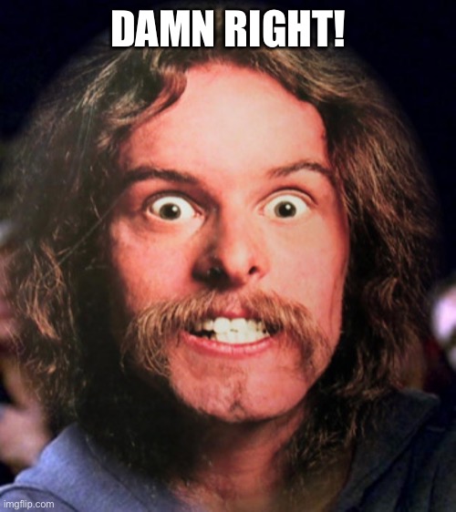 Ted Nugent | DAMN RIGHT! | image tagged in ted nugent | made w/ Imgflip meme maker