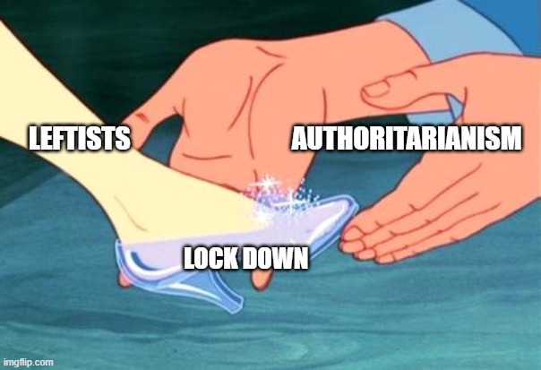 It's a perfect fit! | LEFTISTS                               AUTHORITARIANISM; LOCK DOWN | image tagged in cinderella shoe fits | made w/ Imgflip meme maker