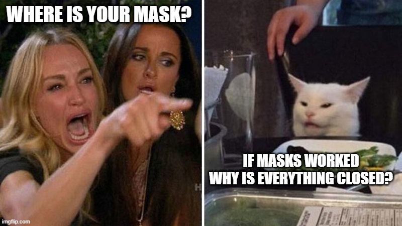 MASK UP | WHERE IS YOUR MASK? IF MASKS WORKED WHY IS EVERYTHING CLOSED? | image tagged in karen vs table cat | made w/ Imgflip meme maker