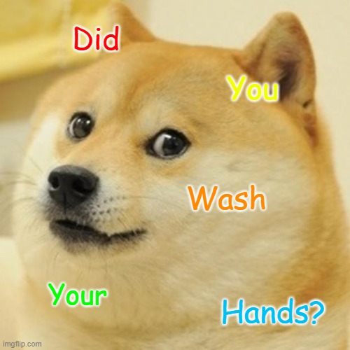 Doge | Did; You; Wash; Your; Hands? | image tagged in memes,doge,coronavirus | made w/ Imgflip meme maker